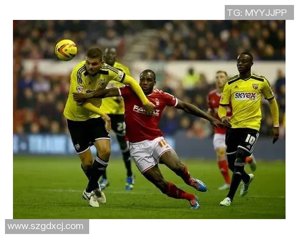 足球水位的含义及其在投注中的重要性分析